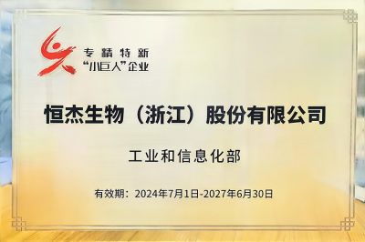 专精特新小巨人企业